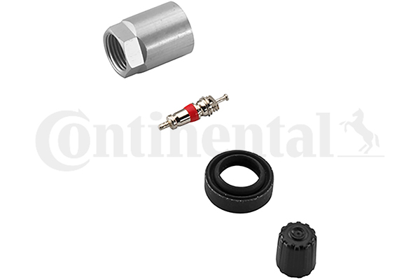 Tamir seti, tekerlek sensörü (tekerlek basınç kontrol sistemi) A2C59507087 uygun fiyat ile hemen sipariş verin!