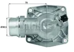 Termostat, soğutma maddesi TM 16 105 uygun fiyat ile hemen sipariş verin!